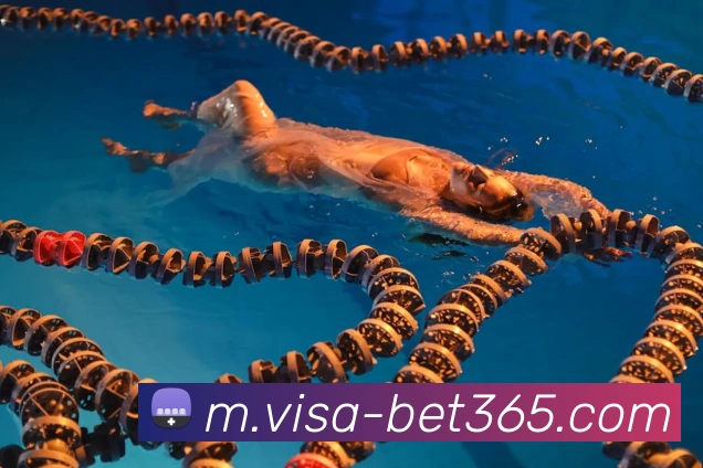 bet365平台生态图